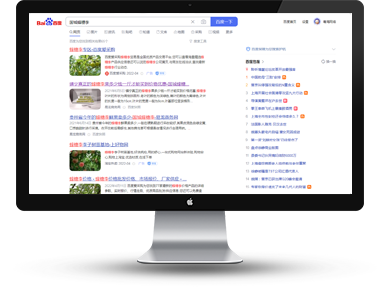 万词排名推广系统